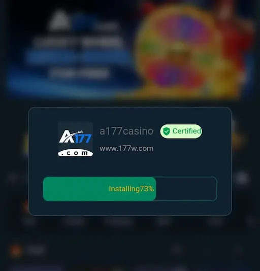 A117 Game Installation